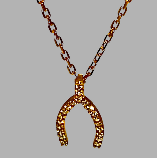 Horseshoe Pendant Necklace!