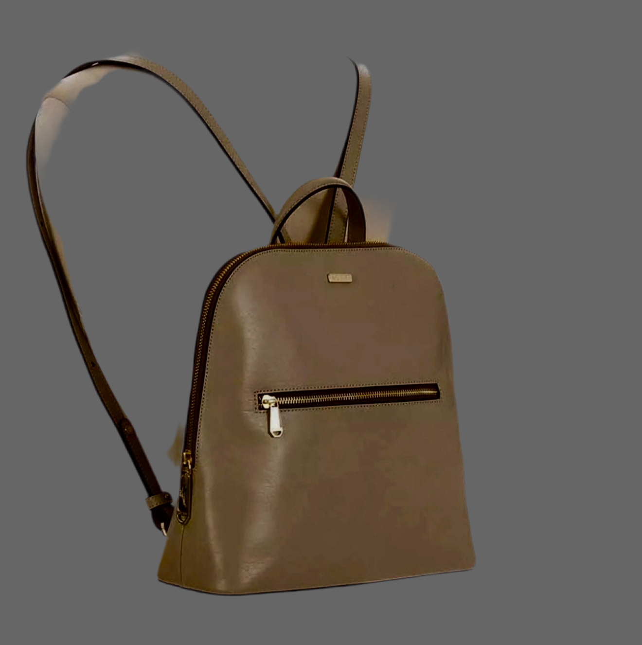 Brahmin Backpack