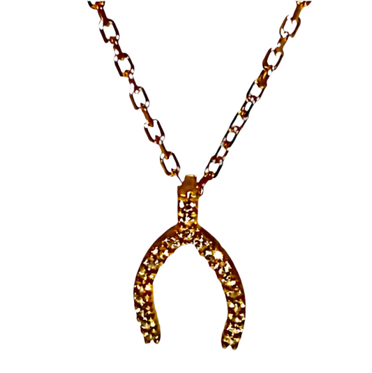 Horseshoe Pendant Necklace!