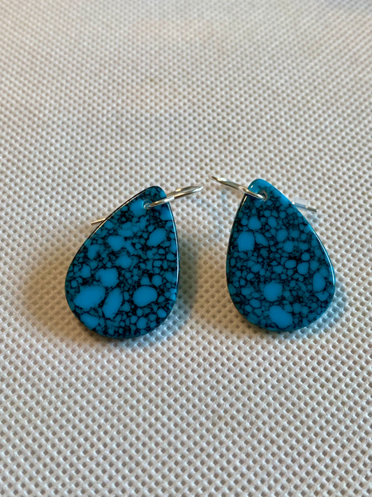 Turquoise Earrings!