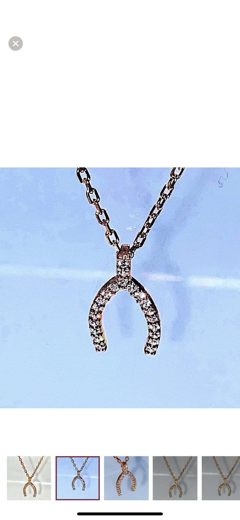 Horseshoe Pendant Necklace!