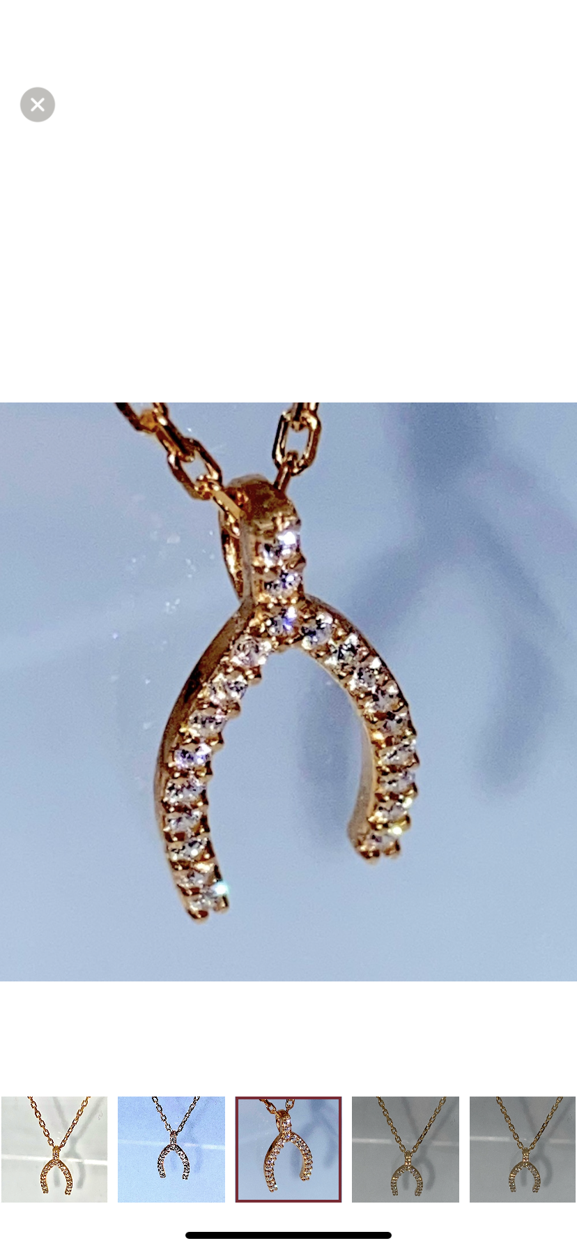 Horseshoe Pendant Necklace!