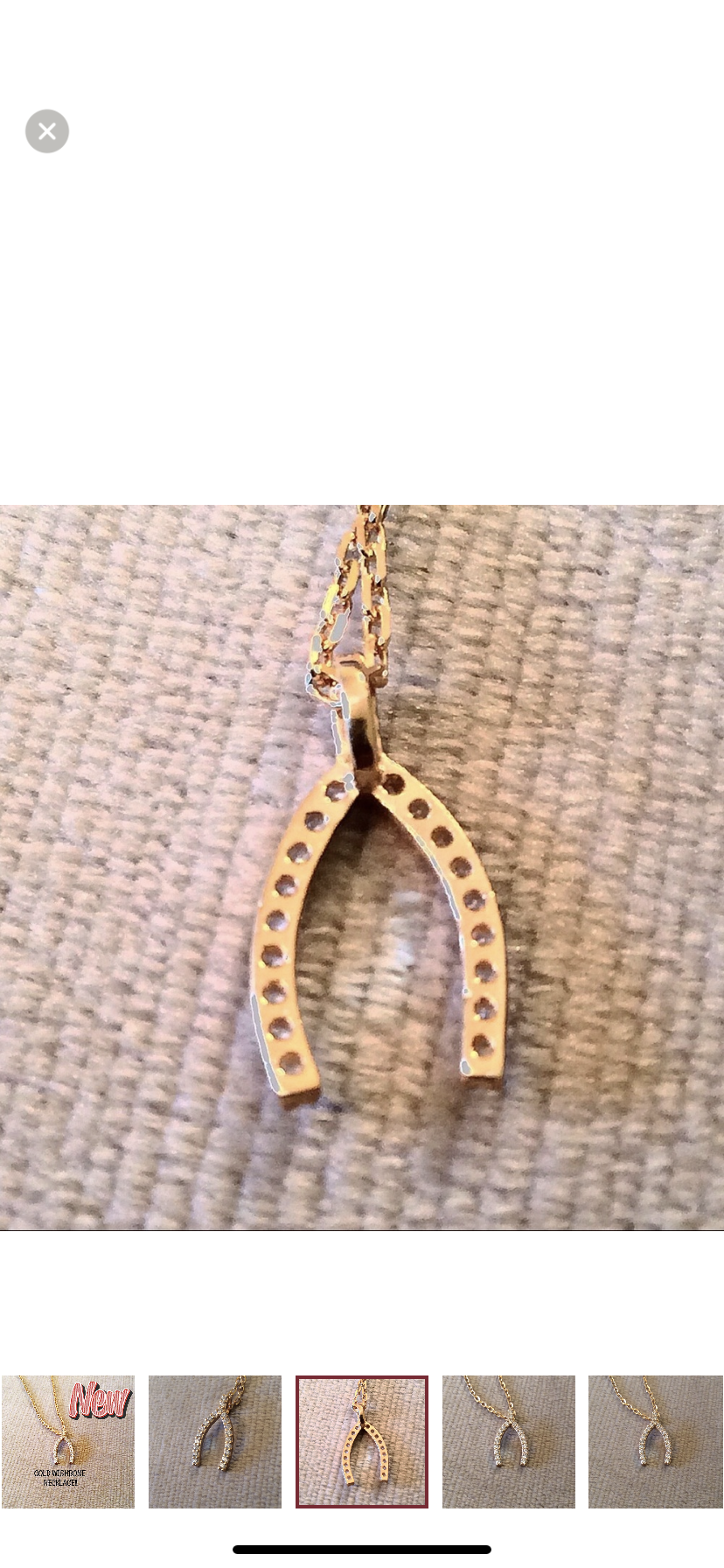 Horseshoe Pendant Necklace!