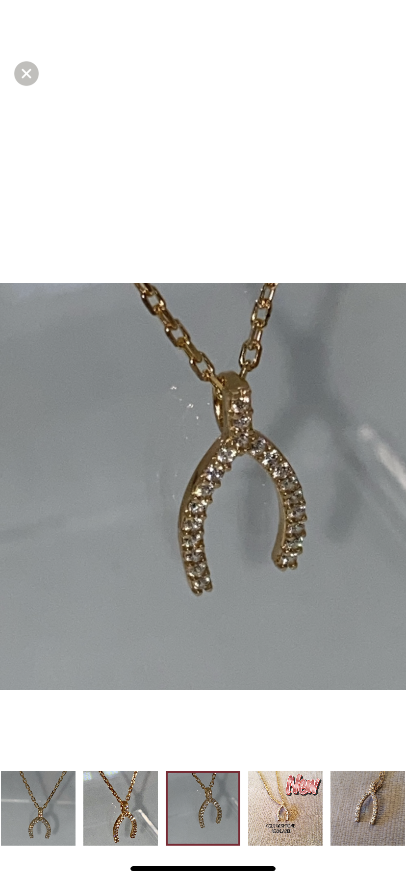 Horseshoe Pendant Necklace!