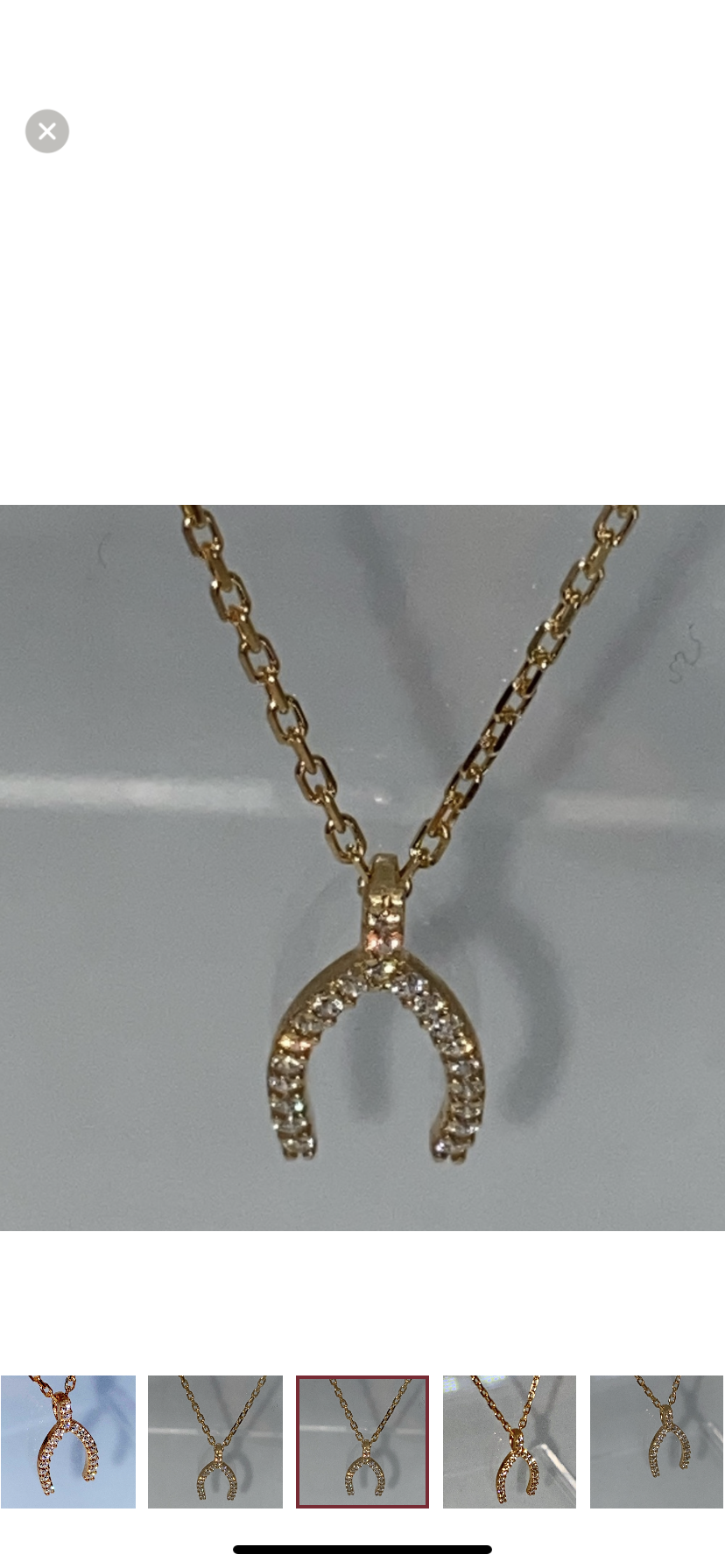 Horseshoe Pendant Necklace!